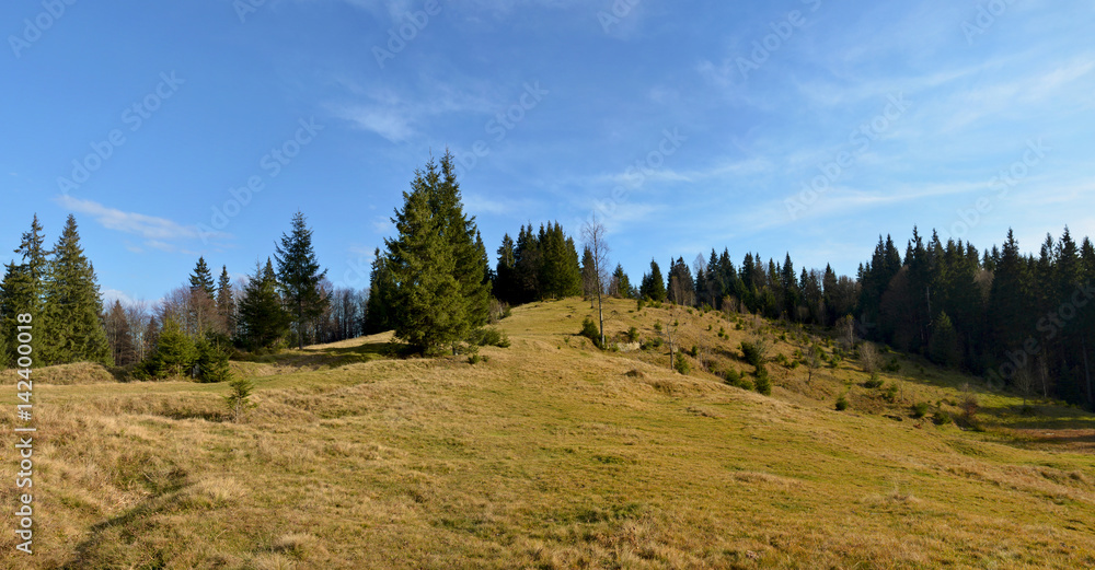 Fototapeta premium Green mountain hill in the late afternoon. Scenic landscape.