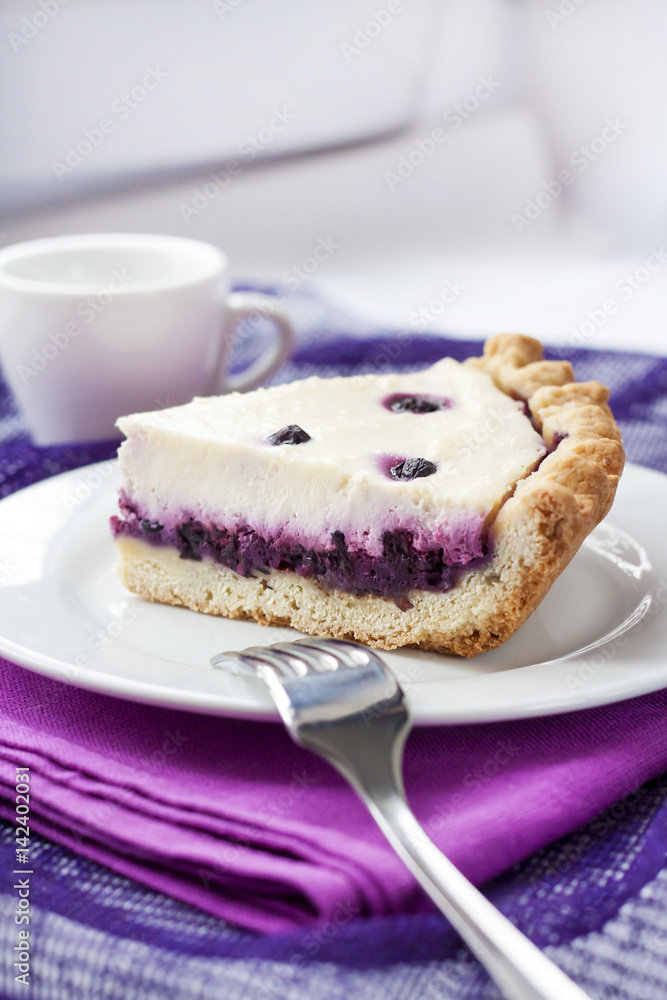 Piece of cheesecake with blueberries on a plate Piece of cheesecake with blueberries on a plate