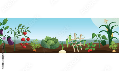Vector Vegetable Garden Header Illustration