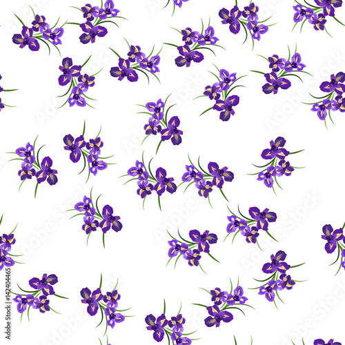 Fototapeta Naklejka Na Ścianę i Meble -  Purple Iris flowers