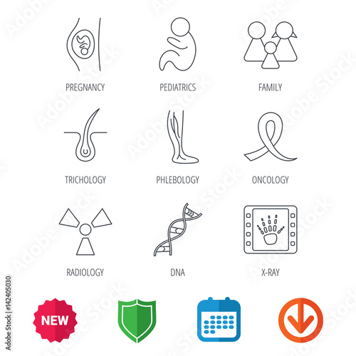 Pregnancy, pediatrics and family icons. Trichology, vein varicose and oncology awareness ribbon linear signs. Radiology, DNA icons. New tag, shield and calendar web icons. Download arrow. Vector