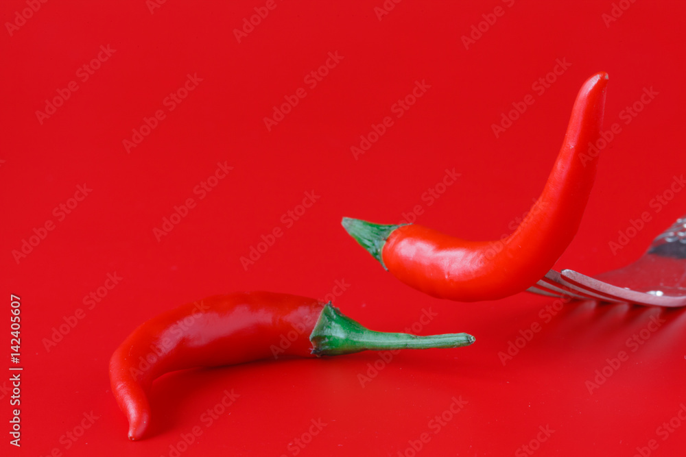 Bright red chili pepper on plain background Bright red chili pepper on plain background