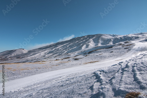 Etna volcano in spring 