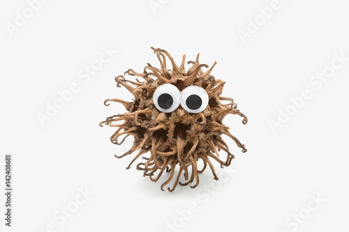 real lovely monster with googly eyes on white background
