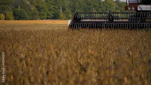 Machine harvesting soybeans in a farm