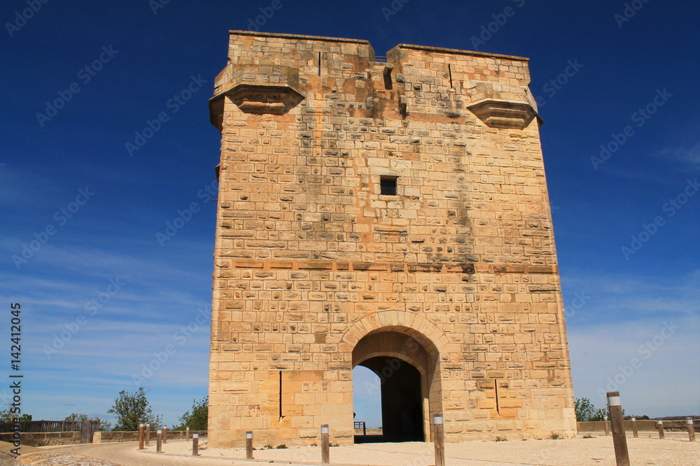 La Tour Carbonnière en Camargue, France