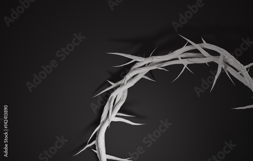 Fotografie, Obraz Close up Crown of Thorns 3D Rendering Empty Space Dark Background
