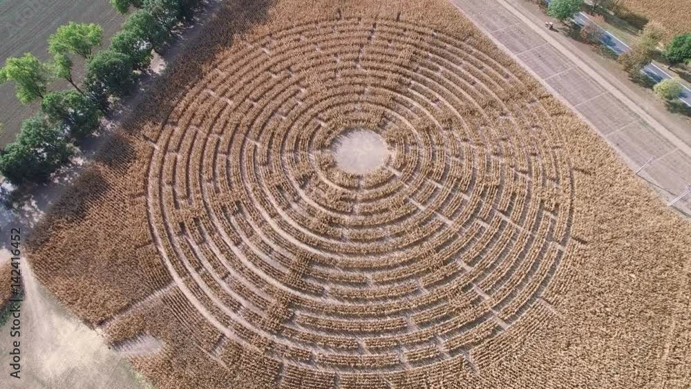 Labyrinth, Corn field, Aerial drone Labyrinth, Corn field, Aerial drone