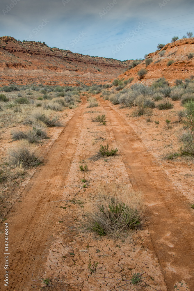 Track in the Muddy Desert