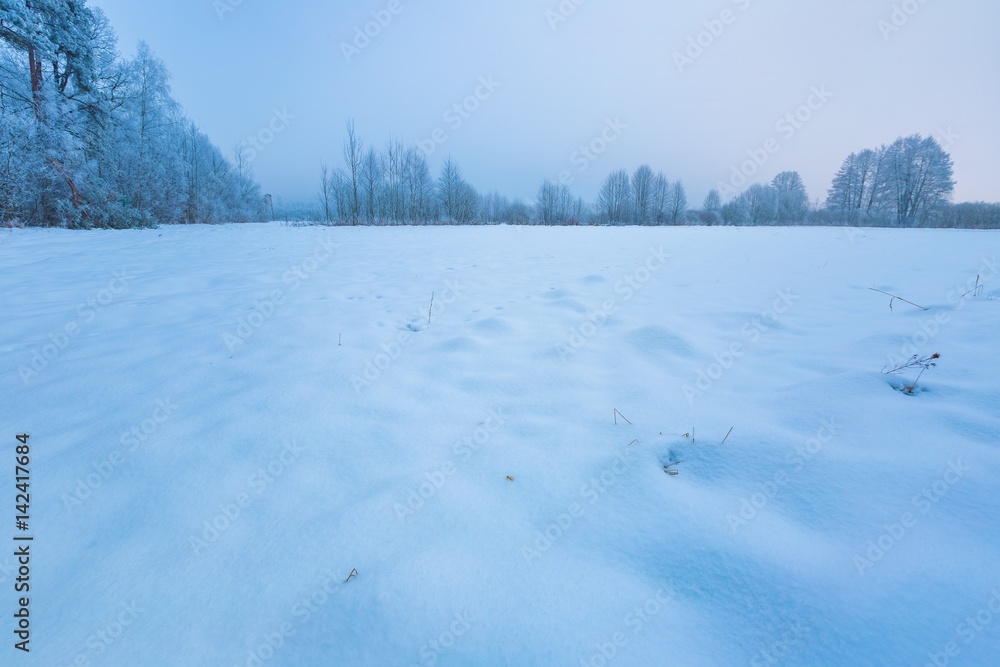 Winter foggy landscape in polish countryside Winter foggy landscape in polish countryside