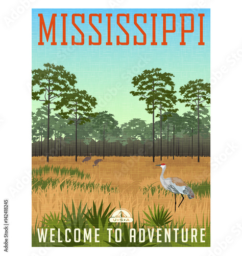 State of Mississippi travel poster or sticker. Vector illustration of Sandhill cranes and pines in wetland nature preserve