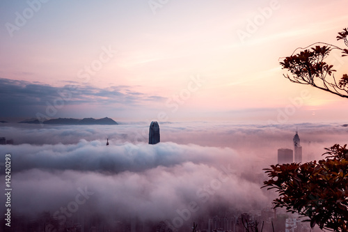 Photography Misty morning view at Hong Kong City