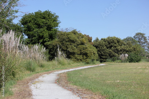 Gravelly path along treeline