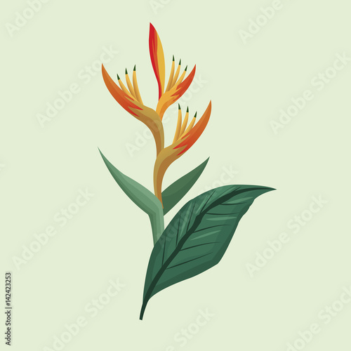 leave palm tropical natural vector illustration eps 10 photo