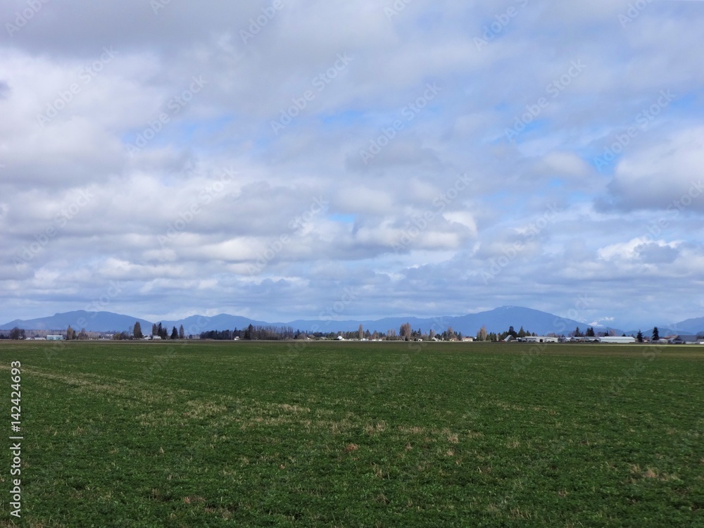 Fresh green colored field, horizon, and countryside in early spring