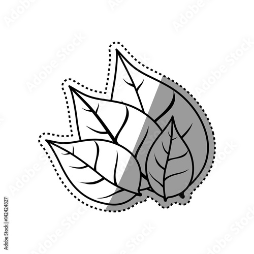 Leaves nature ecology icon vector illustration graphic design