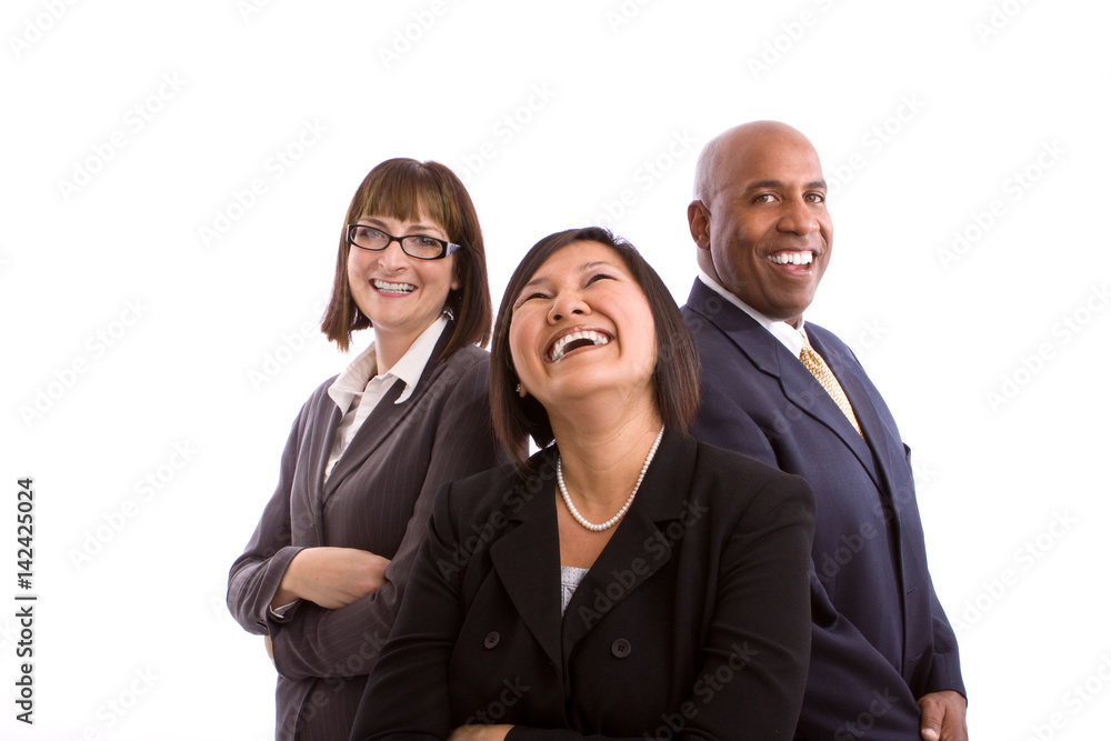 Diverse group of business people isolated on white. Diverse group of business people isolated on white.