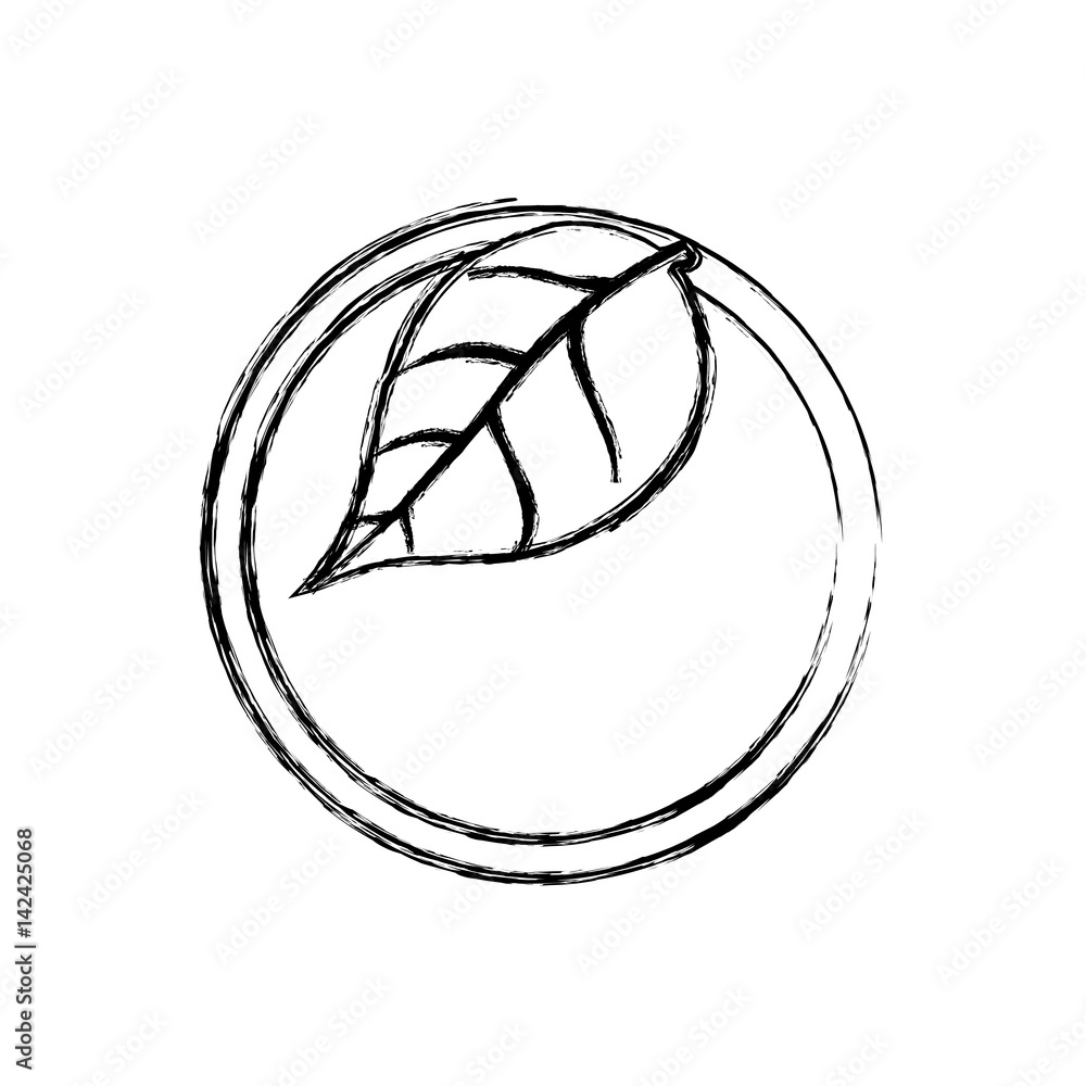 Green ecology label icon vector illustration graphic design Green ecology label icon vector illustration graphic design