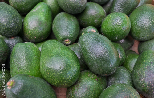 Organic big green avocado for sale at city market