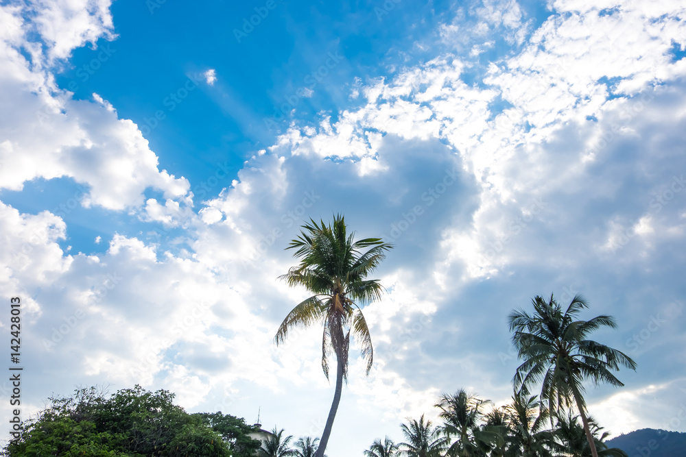 Fototapeta premium Blue sky