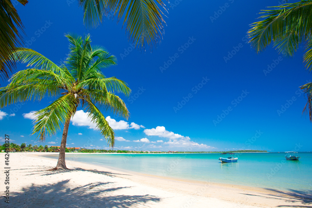 Obraz premium tropical beach in Sri Lanka