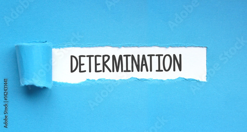 Photography Determination / Paper