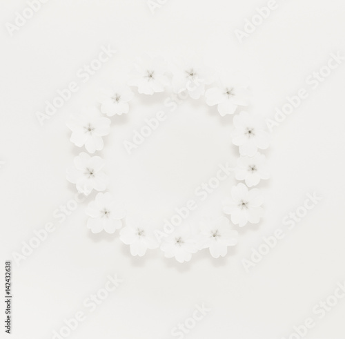 Round flower frame of primrose flowers on white background. Flat lay, top view. Monochrome photo