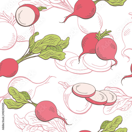 Radish graphic vegetable color seamless pattern sketch illustration vector