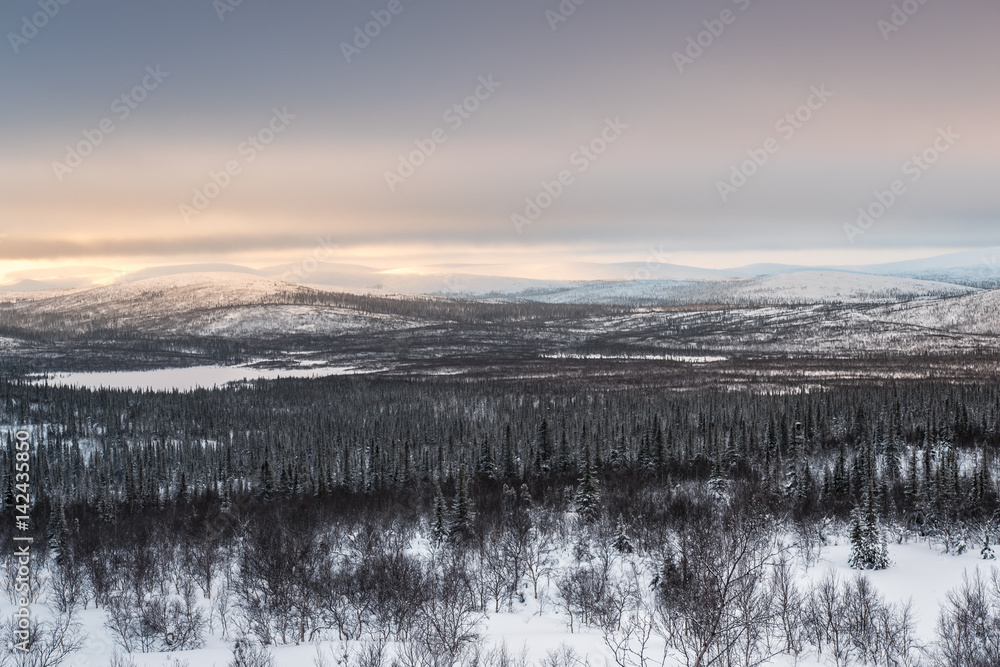 Fototapeta premium Winter landscape in Russian Lapland, Kola Peninsula