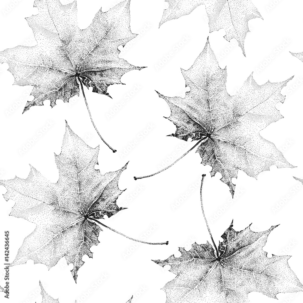 Seamless vintage pattern with a large black maple leafs on a white background.