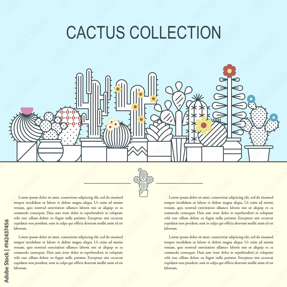 Cactus and succulents vector line icon set. Exotic floral garden silhouettes. Nature cacti outline design illustration. Graphic cartoon plant collection isolated.