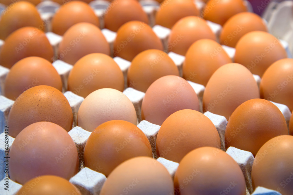 Eier Eier