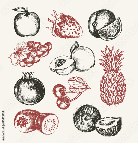 Fruits - vector modern hand drawn design illustrative set.