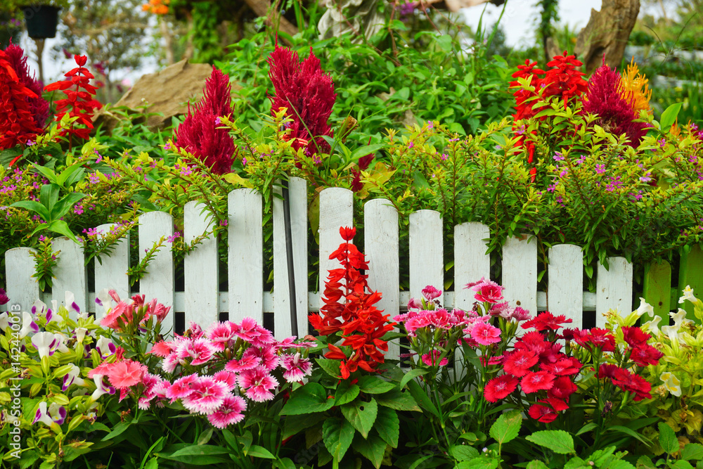 Beautiful garden Beautiful garden