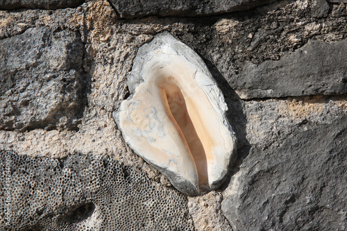 Large sink in the wall with coral and sea sand,Mexico