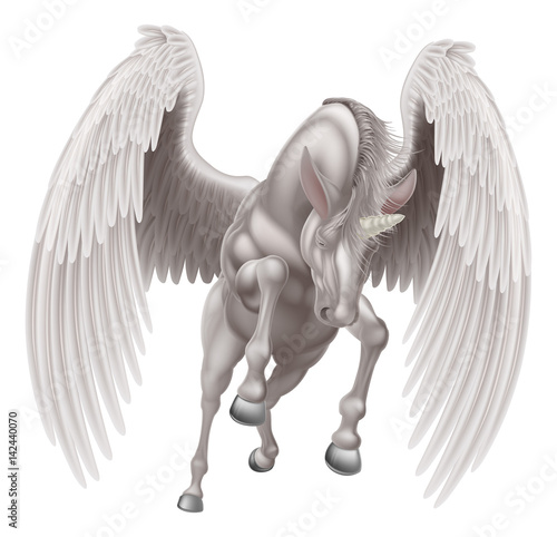 Pegasus Unicorn Winged Horn...