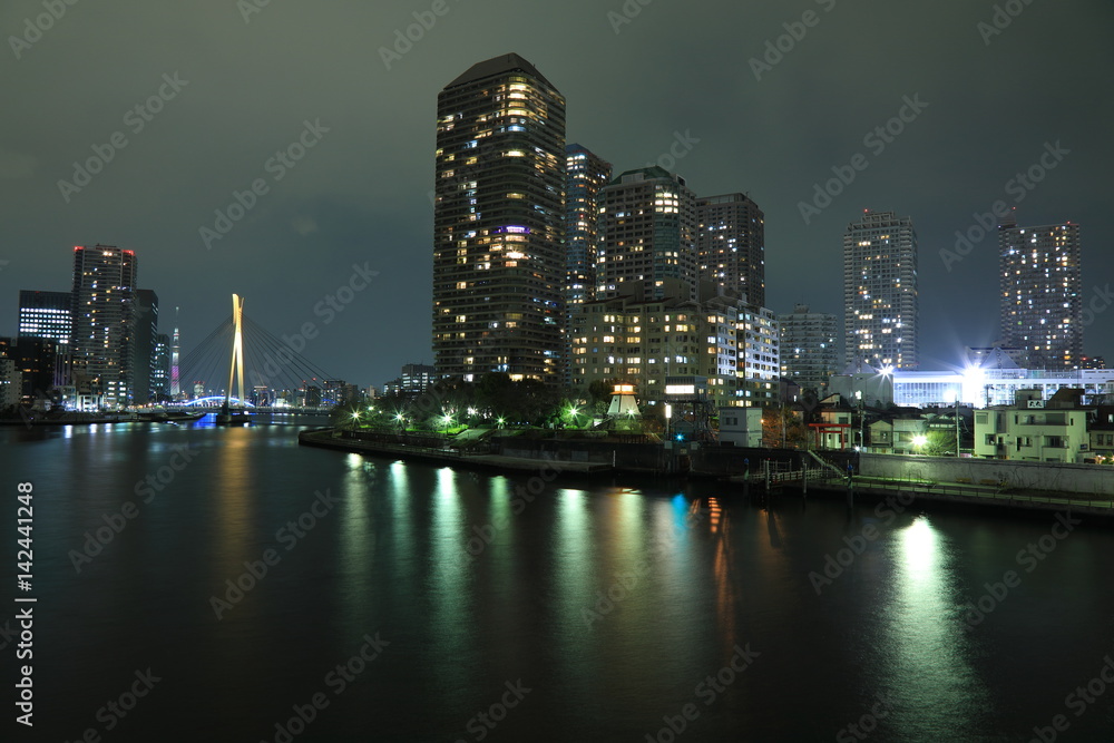 Fototapeta premium Tokyo night view