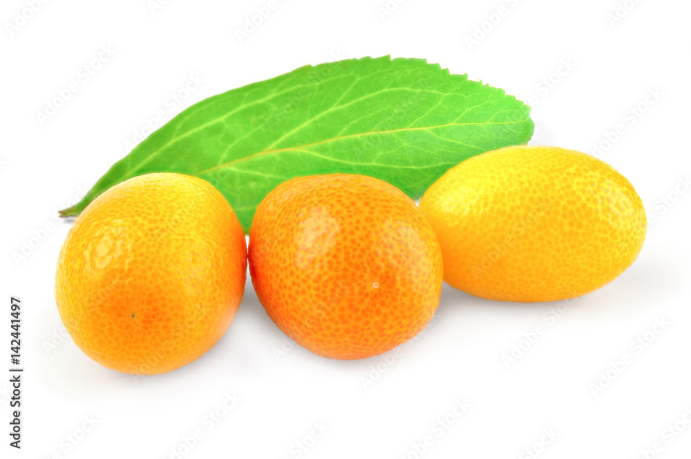 Kumquat citrus on a white background cutout Kumquat citrus on a white background cutout
