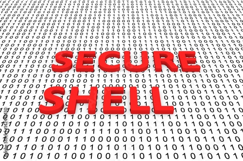 SECURE SHELL in the form of binary code, 3D illustration