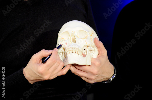 skull photo