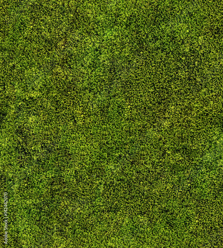 Canvas Print closeup of green moss seamless background
