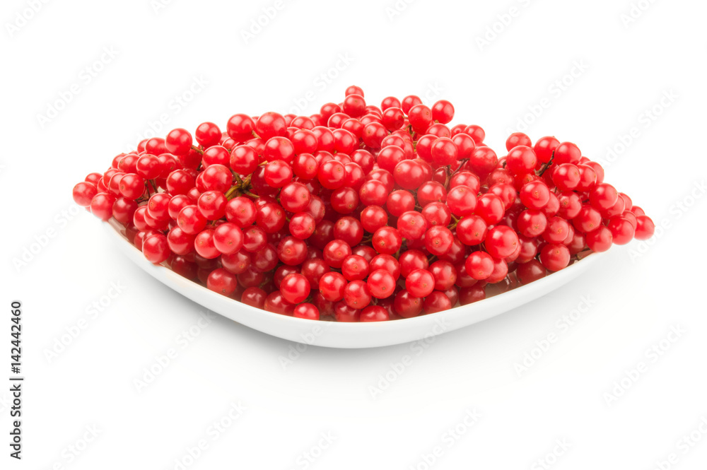 Viburnum berries over a white background Viburnum berries over a white background