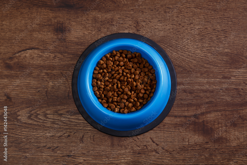 Bowl of dry kibble dog food. Healthy pets feed. Blue plate on wooden rustic background. Bowl of dry kibble dog food. Healthy pets feed. Blue plate on wooden rustic background.