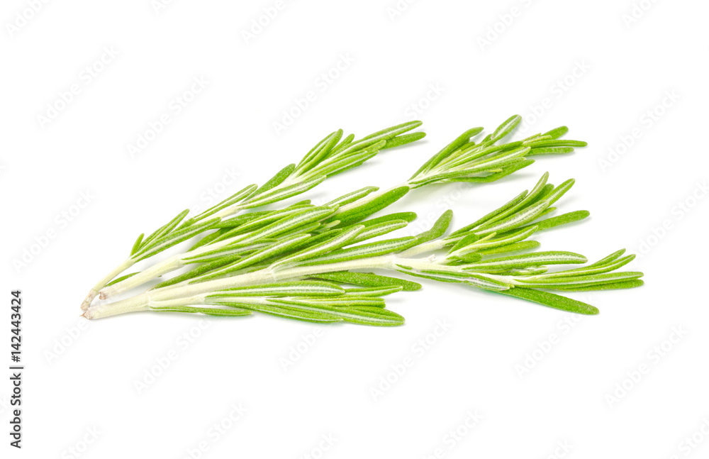 Fototapeta premium Fresh rosemary isolated on white background cutout