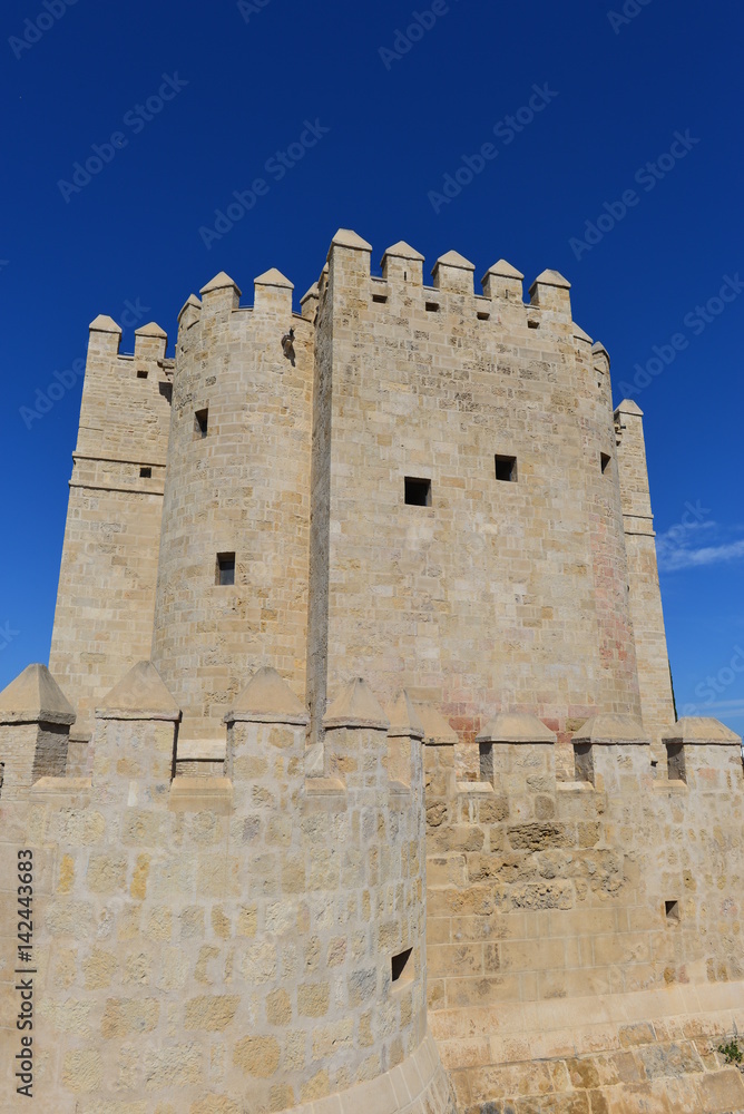 Festungsturm Torre de la Calahorra Cordoba 