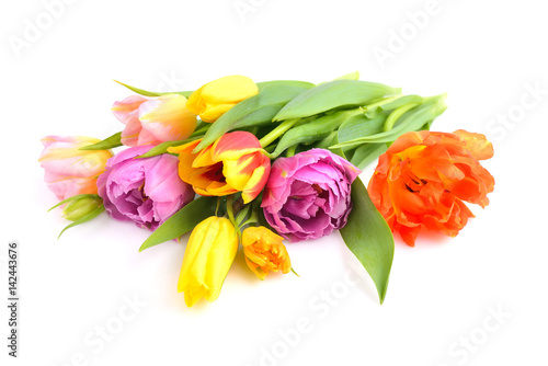 Wallpaper Mural A bouquet of colored tulips on a white background Torontodigital.ca