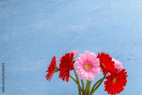 Gerbera flowers in vase on blue wood vintage background. 8 march or Valentines day love design. Fresh natural flowers. Painted wooden planks.