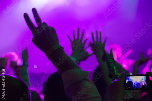 audience at concert at nightclub