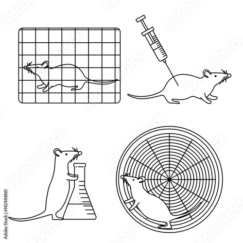 mouse in lab experiments set