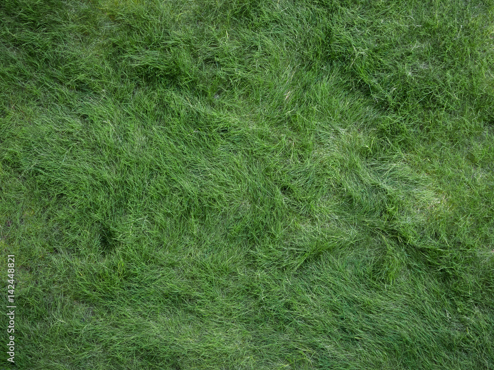 long green grass long green grass